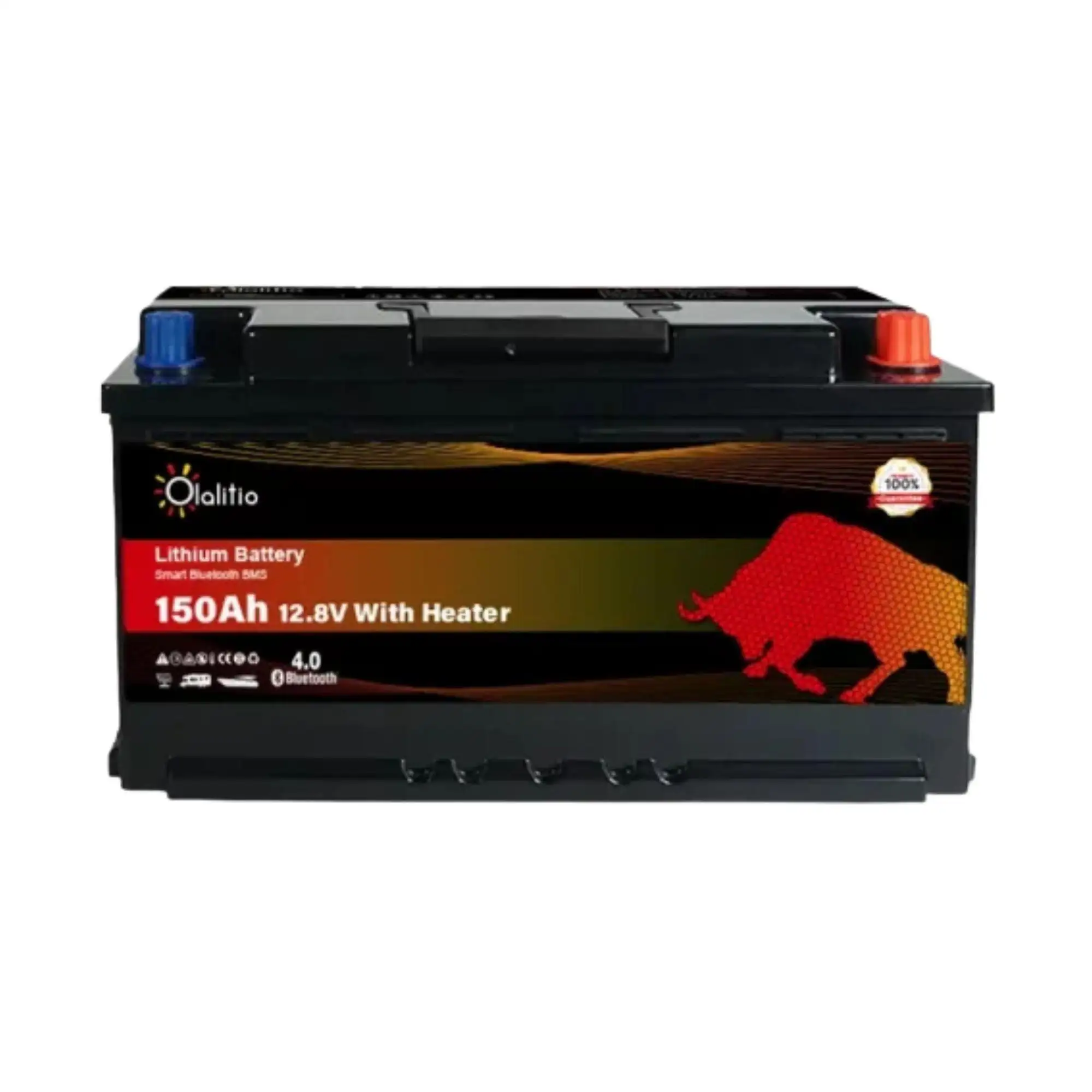 BATERIA LITIO LIFEPO4 150AH C.CALEFACTORES - Imagen 3