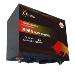 BATERIA LITIO LIFE4 310AH C.CALEFACTOR