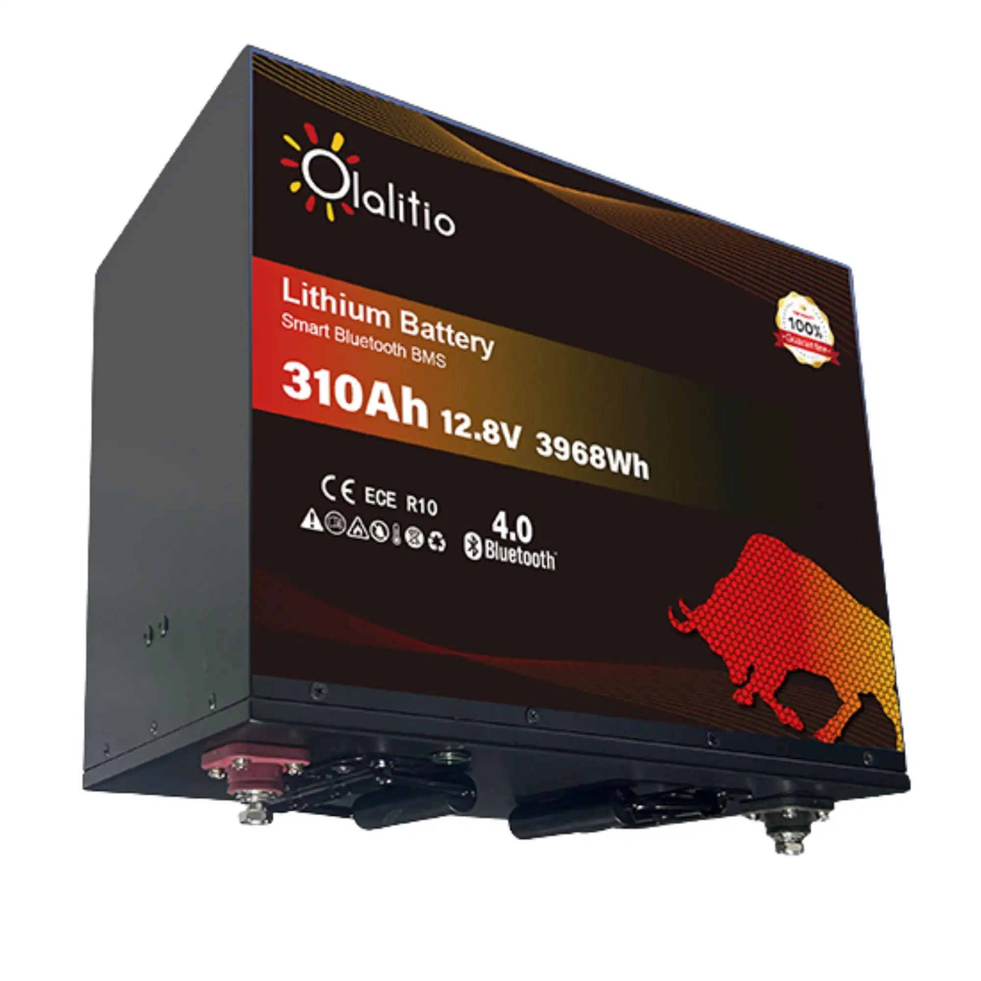 BATERIA LITIO LIFE4 310AH C.CALEFACTOR