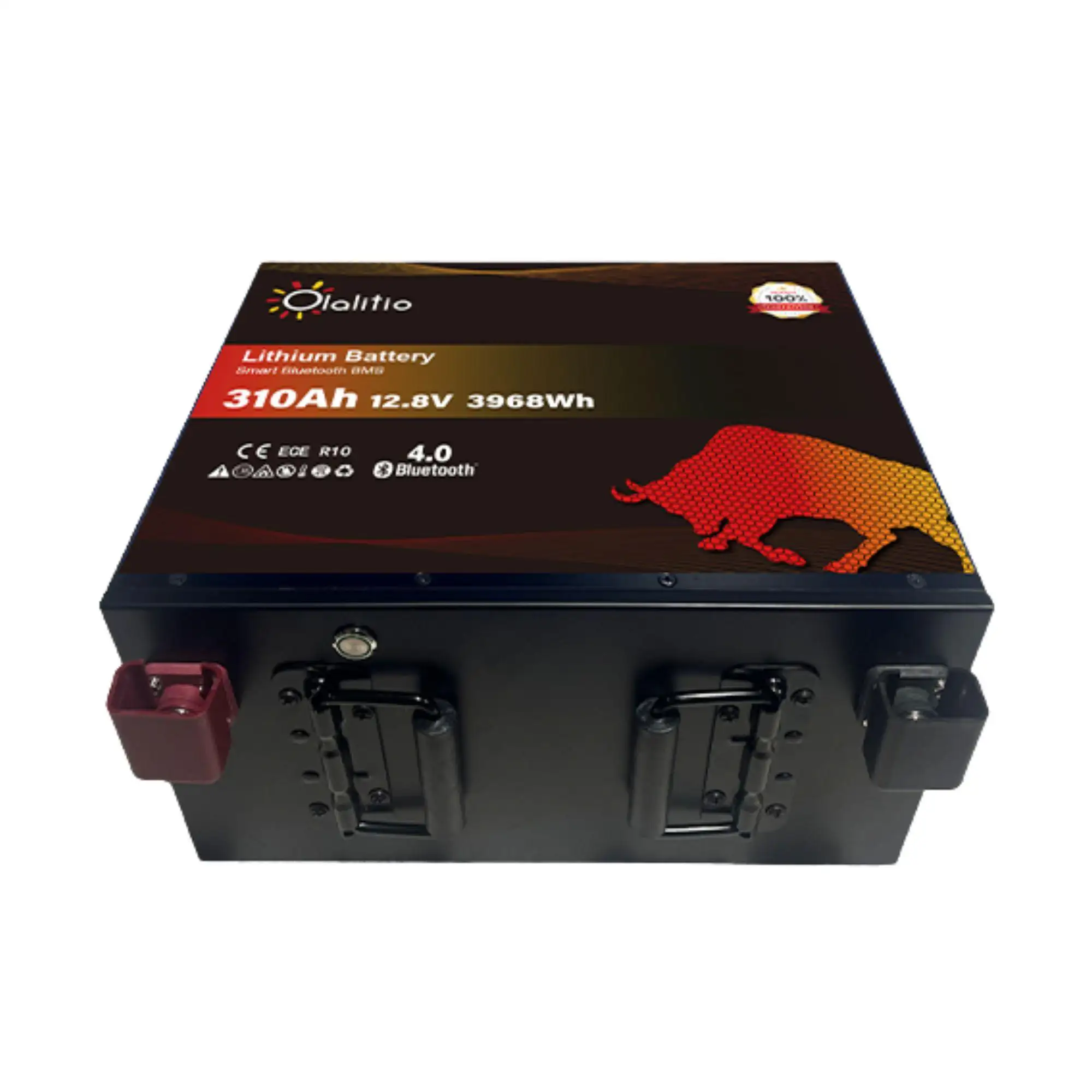BATERIA LITIO LIFE4 310AH C.CALEFACTOR - Imagen 3