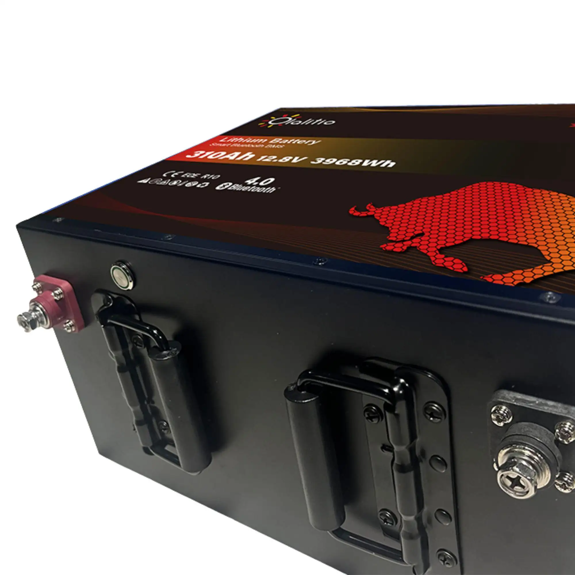 BATERIA LITIO LIFE4 310AH C.CALEFACTOR - Imagen 2