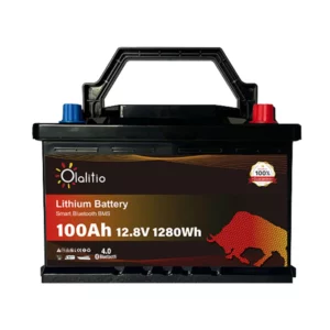 BATERIA LITIO LIFEPO4 100AH
